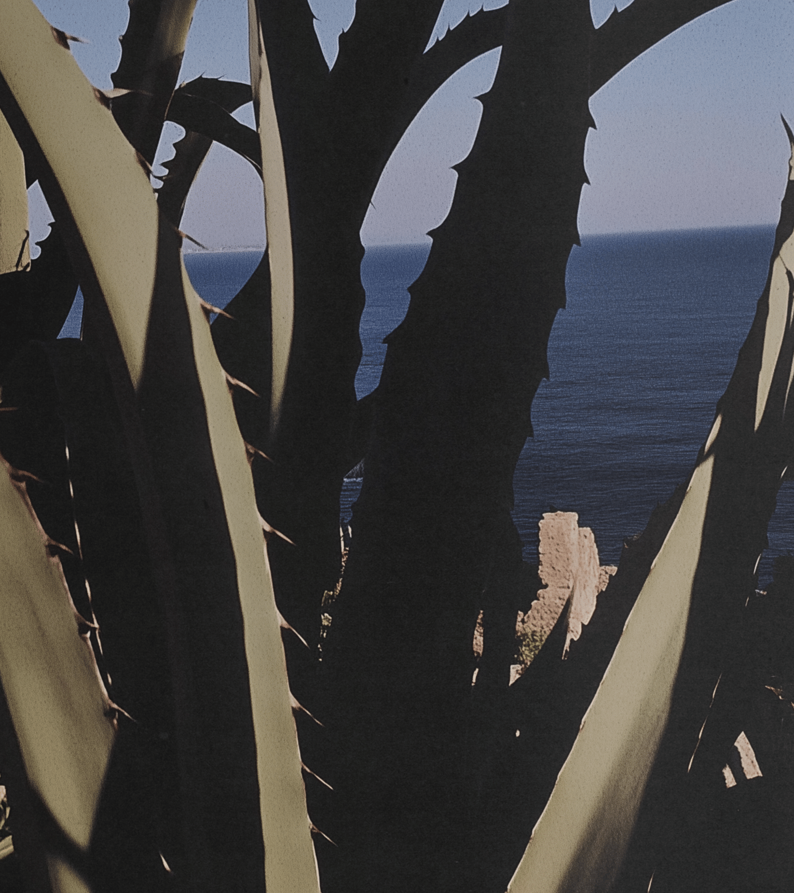 Agave silhouettes framing the ocean in a blue and charcoal collage