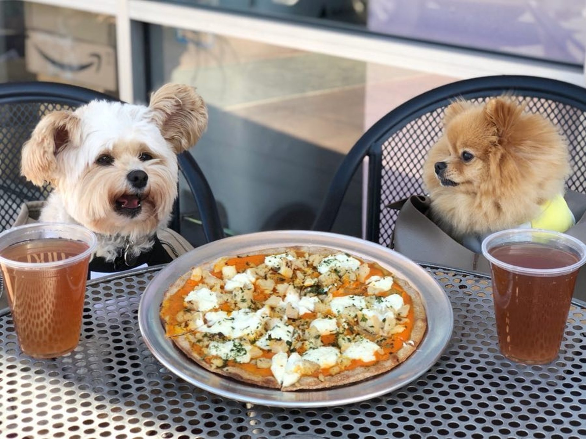 Pupperoni Pizza Pie