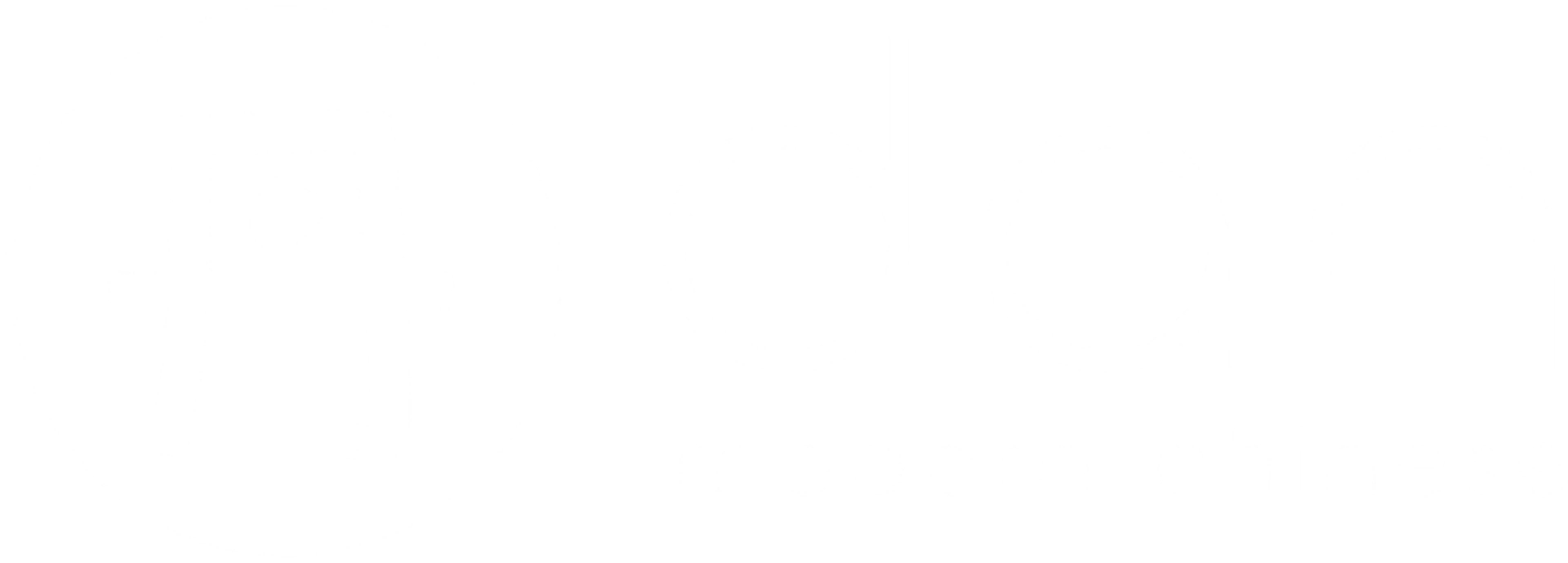 dan modern chinese