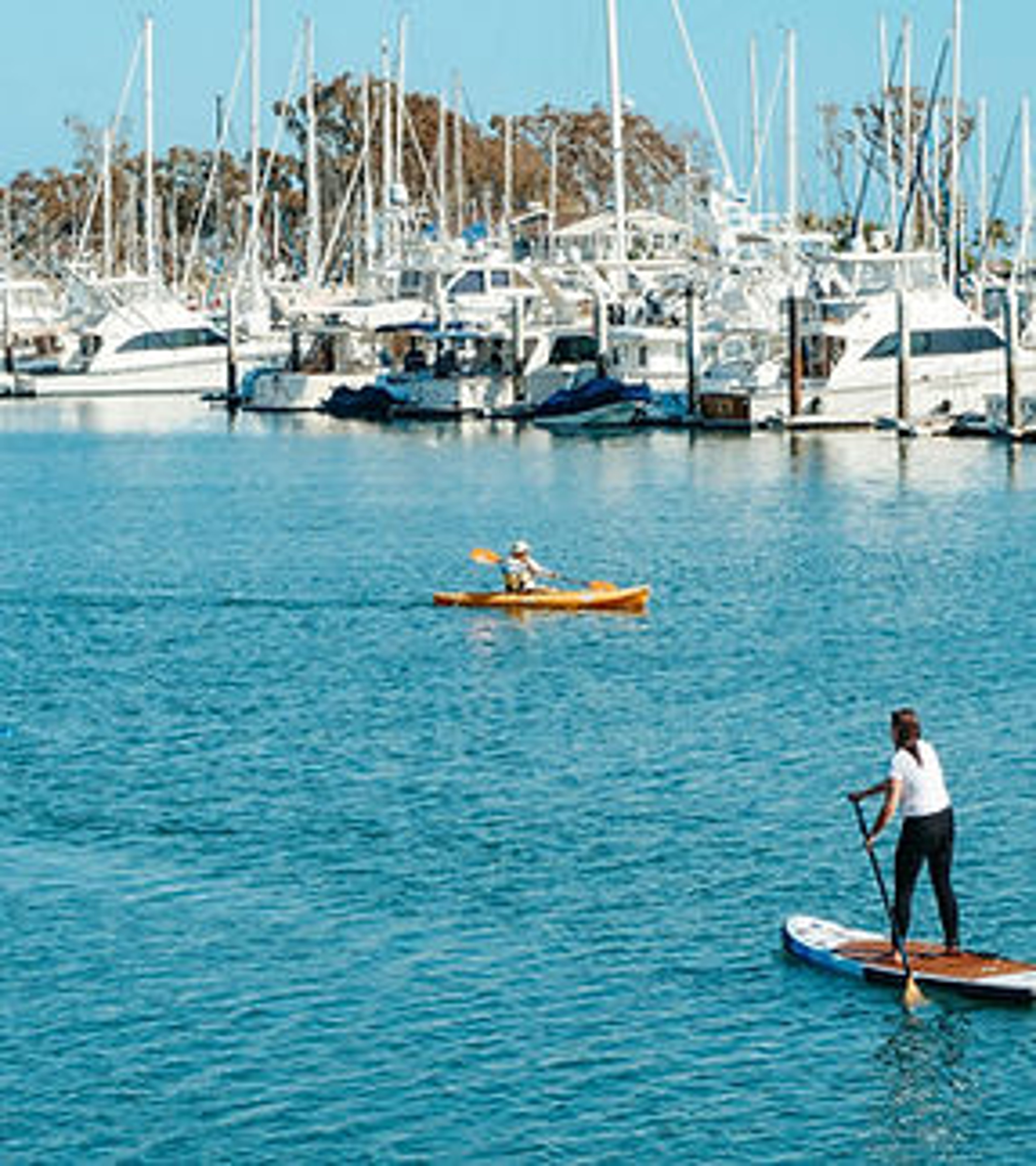 Marina del Rey