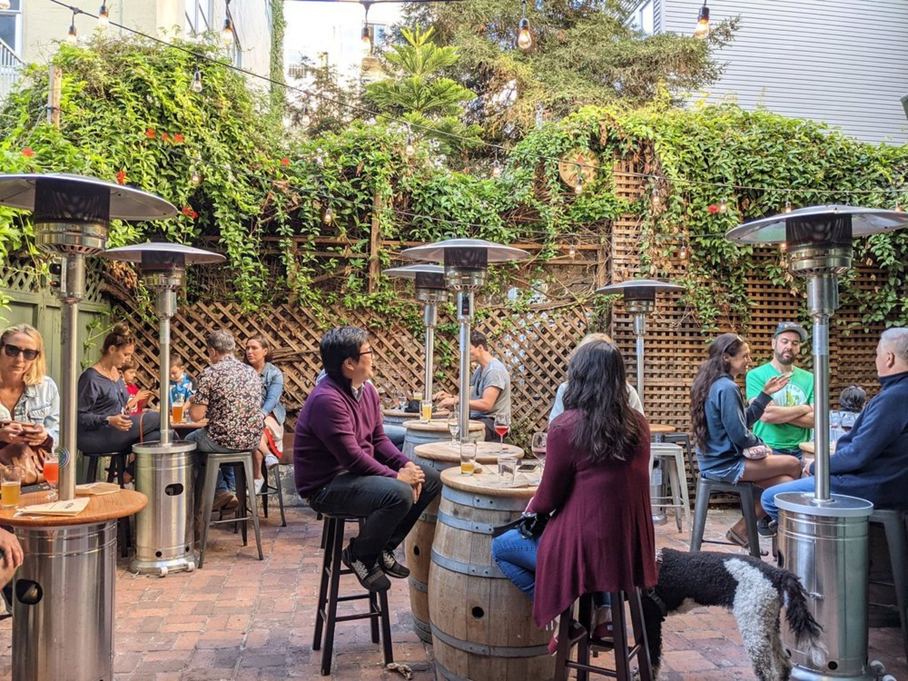 People are sitting at barrel tables in an outdoor courtyard with lattice and greenery. There are heaters between the tables. A dog is standing by one of the tables. The atmosphere is casual and social.