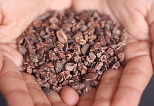 Hands holding cacao nibs